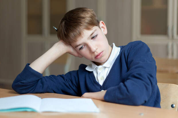 РКН: решение о блокировке сайтов с готовыми заданиями примут компетентные органы