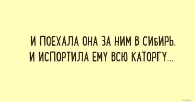 Правдиво-забавные открытки обо всем на свете