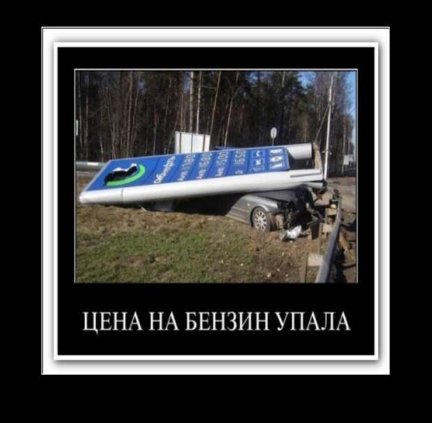 22202ed7753660612d448ef9bb1f65e2