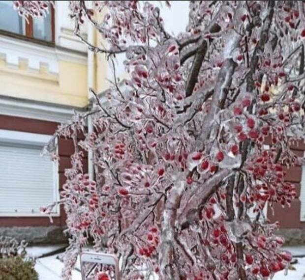 Маккейн в нейтральных водах