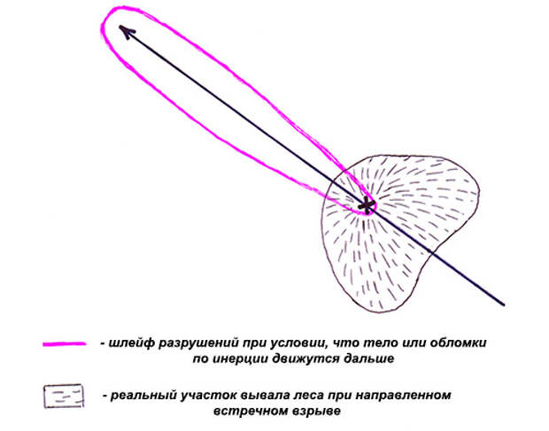 Поваленные деревья после падения Тунгусского метеорита