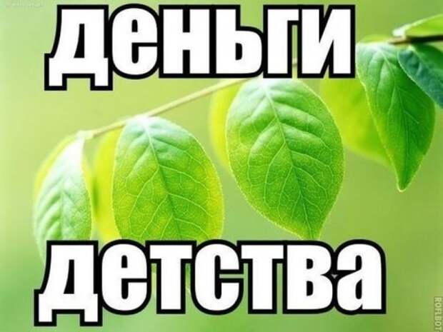 Забавные фотомемы (24 шт)