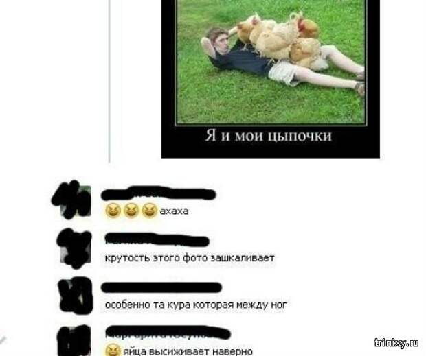 Смешные комментарии из социальных сетей