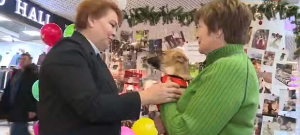 В облцентре 15 бездомных животных обрели дом