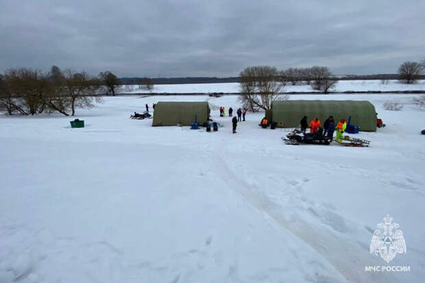 Раскрыта основная версия исчезновения троих детей в Подмосковье