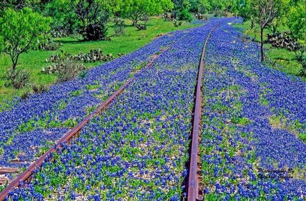 Железная дорога в Техасе заброшенное, красиво, мир без людей, природа берет свое, фото, цивилизация