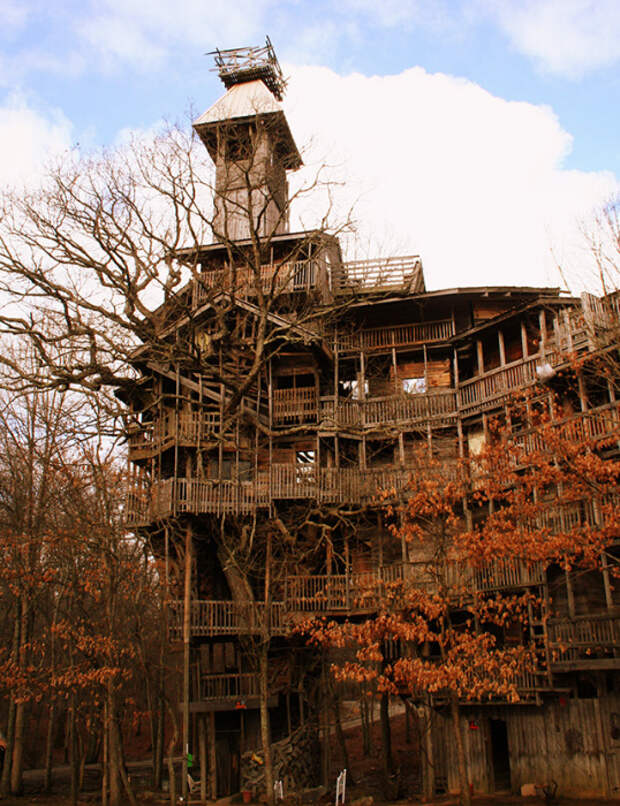 На строительство «небоскреба» на дереве Гораций потратил 20 лет упорного труда. | Фото: nastroy.net. На строительство «небоскреба» на дереве Гораций потратил 20 лет упорного труда. | Фото: nastroy.net.