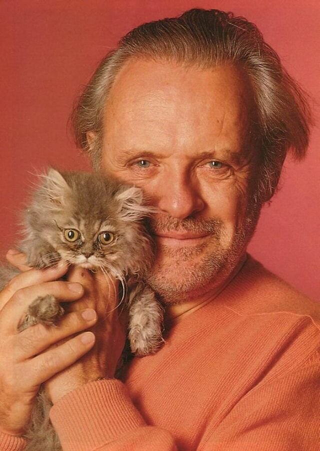 Без кота и жизнь не та