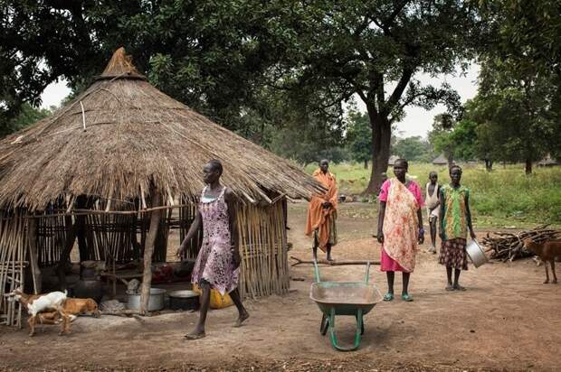 10 самых безумных налогов, которые когда-либо существовали