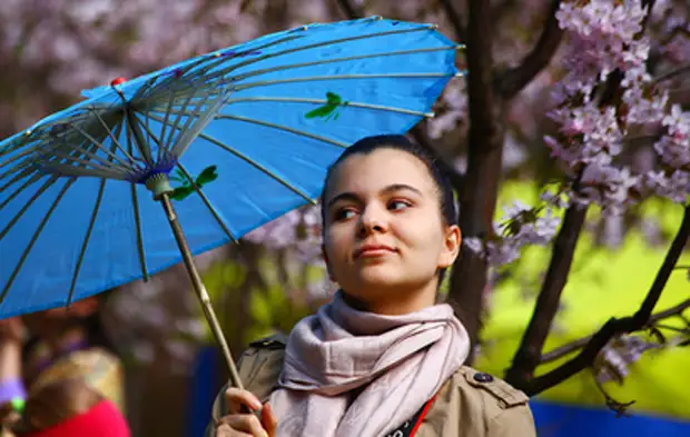 Сакура и выставка собак: куда сходить в майские праздники в Москве