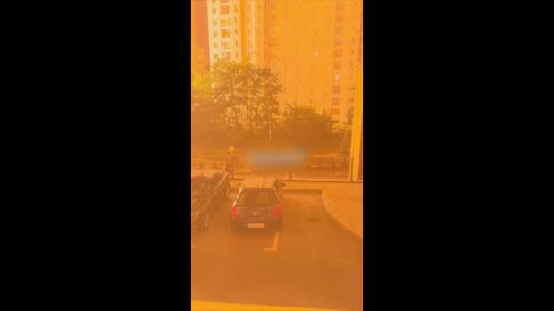 Video: ха2.mp4