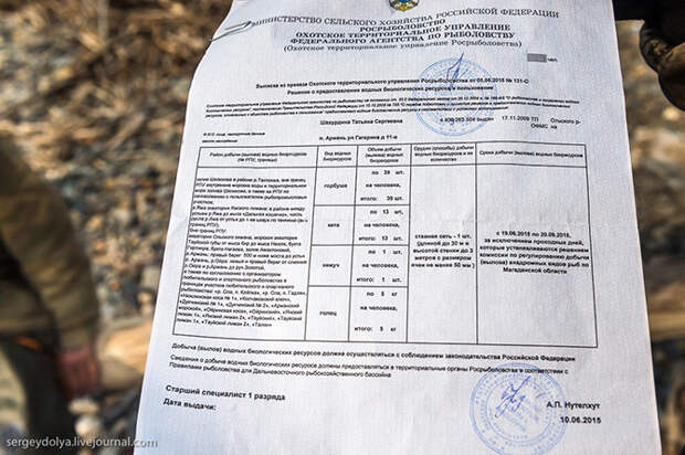 Не совсем легальное производство красной икры