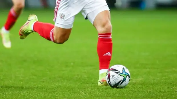 Тарханов прокомментировал матч Словения — Россия