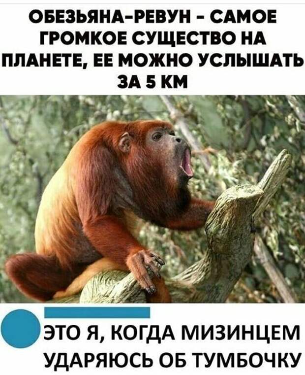 О эта боль О эта боль