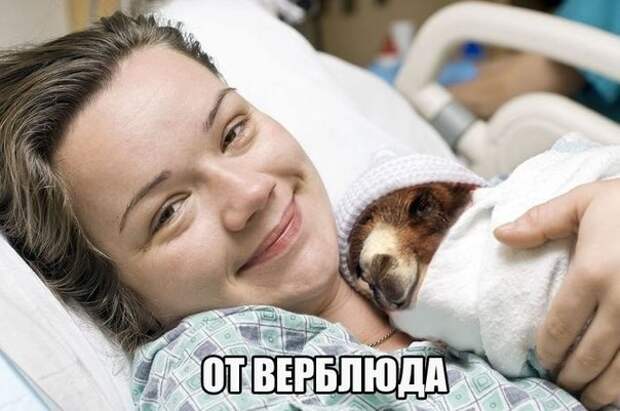 Картинки с надписями мем, прикол, юмор