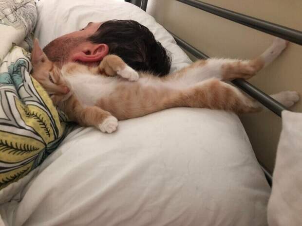 Мы спасли этого котенка. Мой муж сказал, что нам лучше поскорее найти ей дом. Я думаю, она уже его нашла Мы спасли этого котенка. Мой муж сказал, что нам лучше поскорее найти ей дом. Я думаю, она уже его нашла