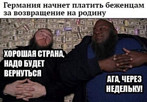 Картинки с надписями, истории и анекдоты
