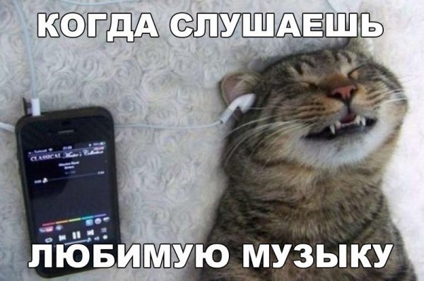 ПОЗИТИВНЫЙ ПОСТ+ 168