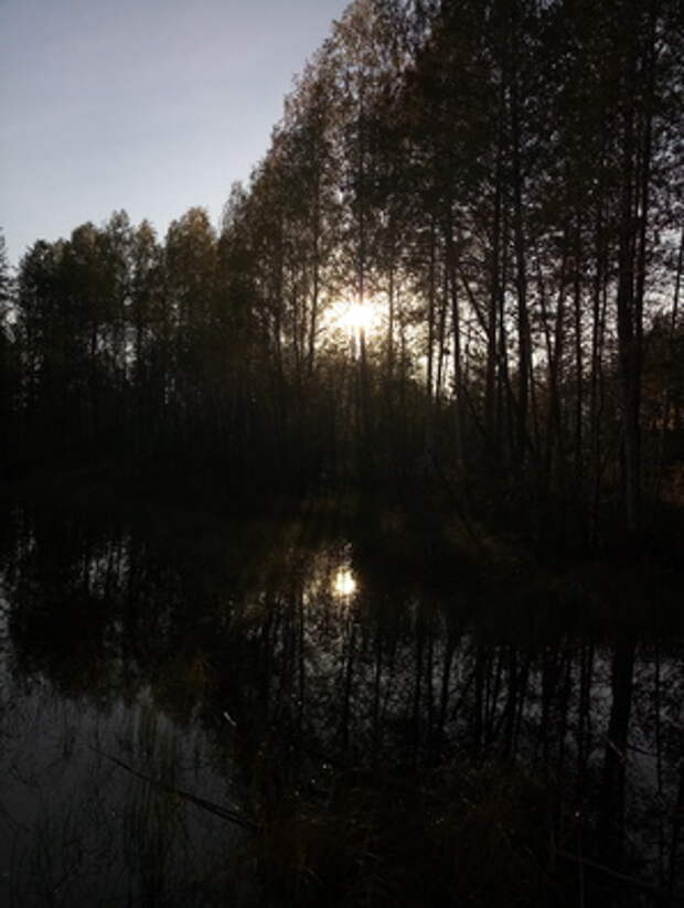 Фото на камеру Meizu MX6