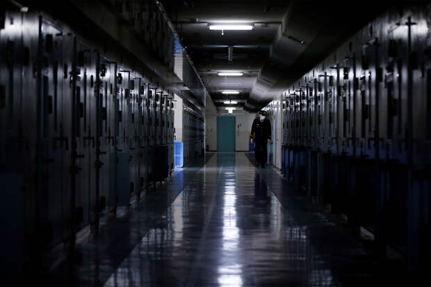 Раскрыта судьба тайно фотографировавшего стюардесс под юбками пассажира