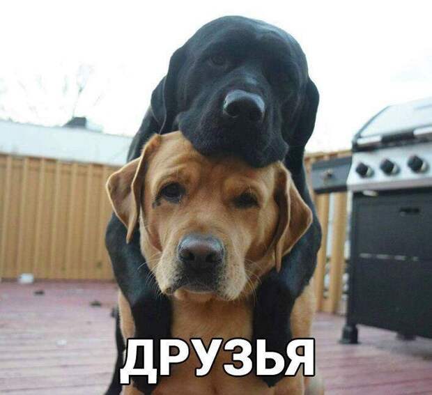 Прикольные фото