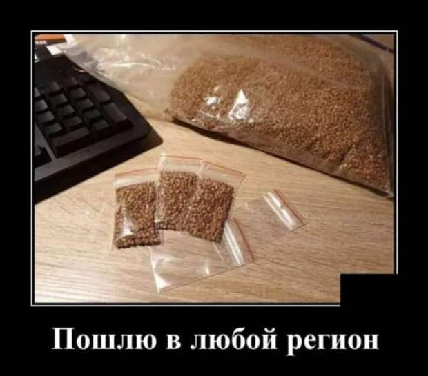 Прикольные демотиваторы с надписями. Подборка chert-poberi-dem-chert-poberi-dem-15130412112020-9 картинка chert-poberi-dem-15130412112020-9