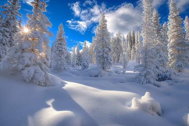 Федул Зимний. Зачем 5 января надо обязательно покормить птиц