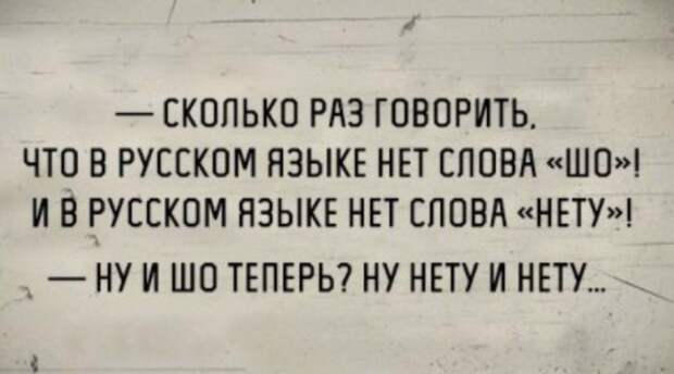 Смешные картинки с надписями (12)