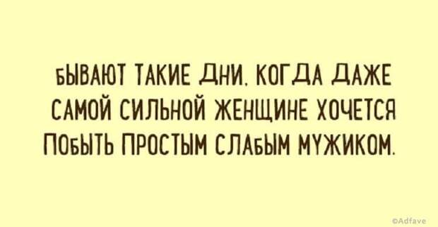 Правдиво-забавные открытки обо всем на свете