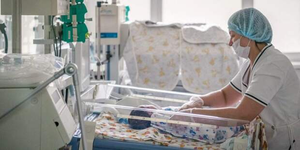 В роддоме ГКБ №24 родители смогут наблюдать за новорожденными онлайн. Фото: mos.ru