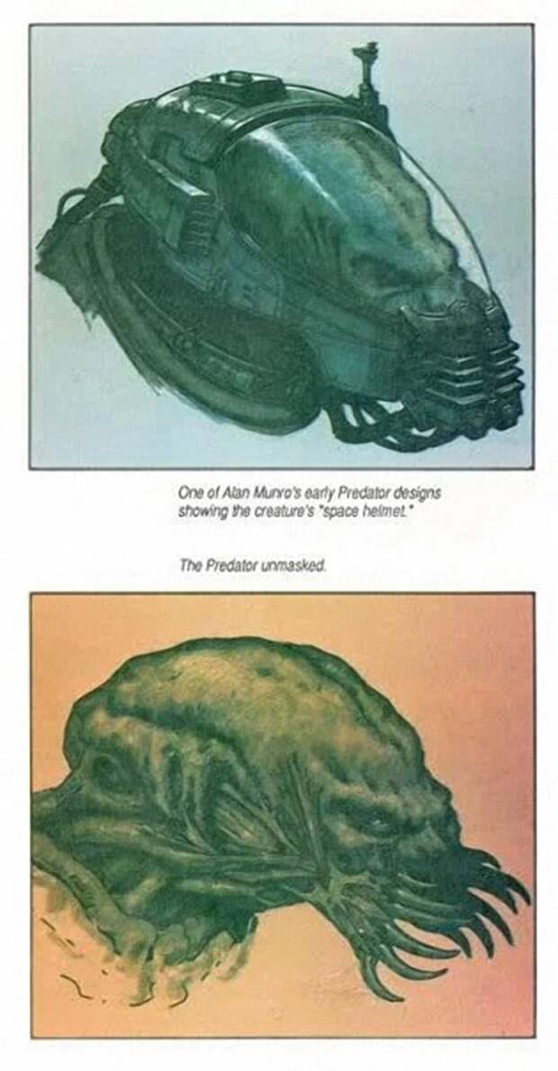 119 119