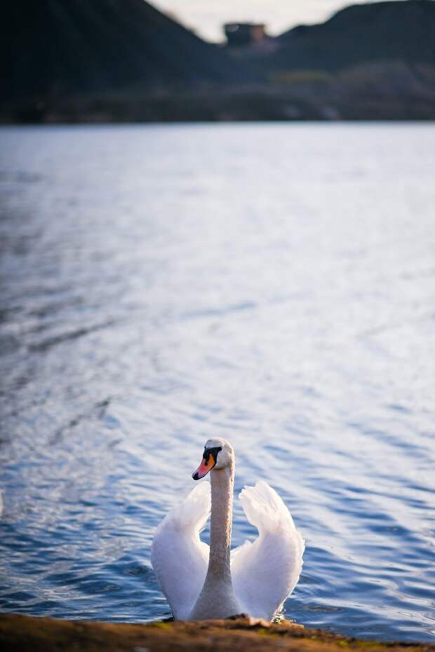 Весна в Енакиево