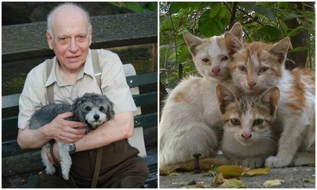 Внук поделился списком животных, которых дедушка приносил домой на протяжении 67 лет Бездомные животные, дедушка, животные, история, пожилые люди, спасение, трогательно