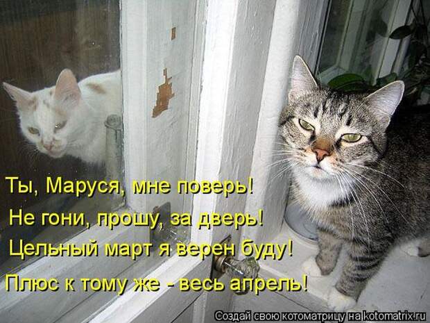 Мысли вслух :)