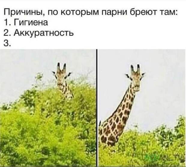 Но главное гигиена, конечно же Но главное гигиена, конечно же