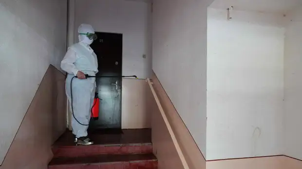 Число случаев коронавируса в Узбекистане выросло за день на 36