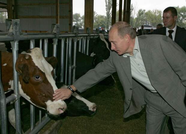Американские танки на границе Белоруссии будут сдерживать Россию пока Путин не покупает пармезан 61