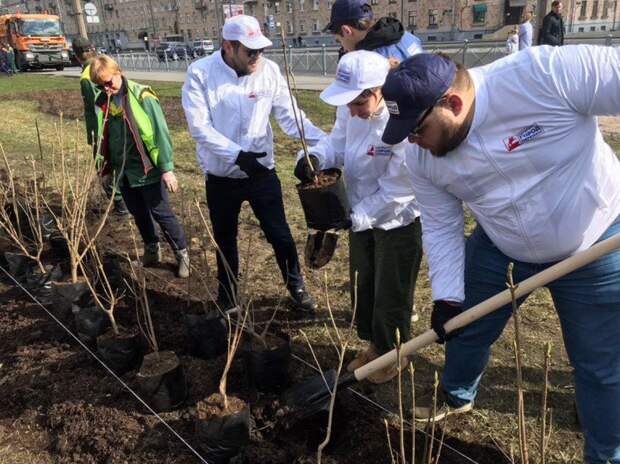 Активисты движения «Петербург — город перемен!» поучаствовали в субботнике