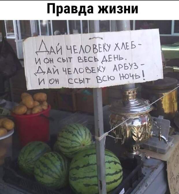 Ржачные картинки (8)