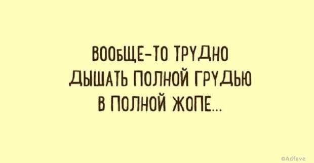Правдиво-забавные открытки обо всем на свете