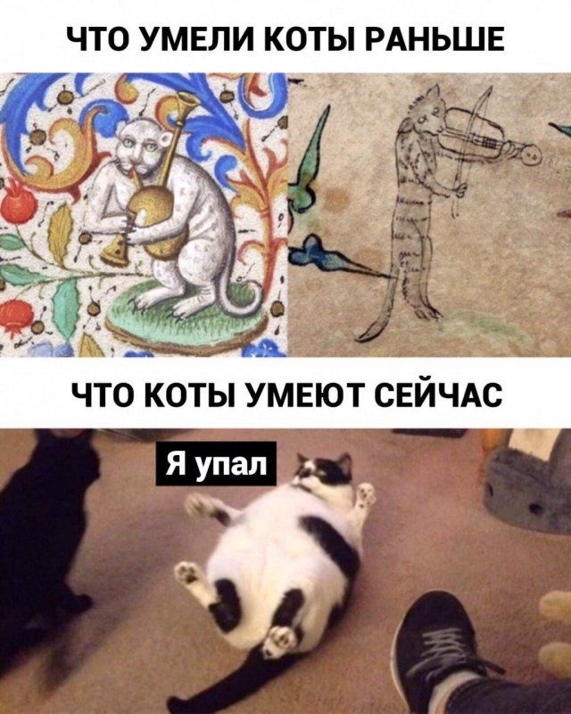 1583462402_rzhaka-26.jpg