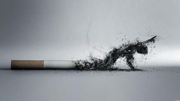 Тайна табачников. Кто и как скрывает от нас состав сигарет вред, здоровые, крение