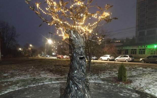 В Рязани появился «Дуб желаний» в Канищеве