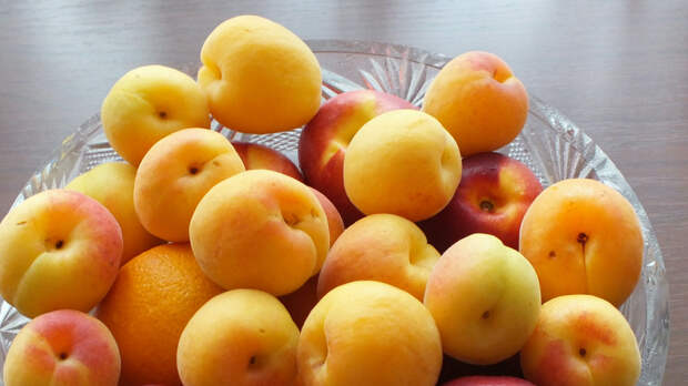 «Защищает от некоторых форм»: в чем заключается особая польза абрикосов
