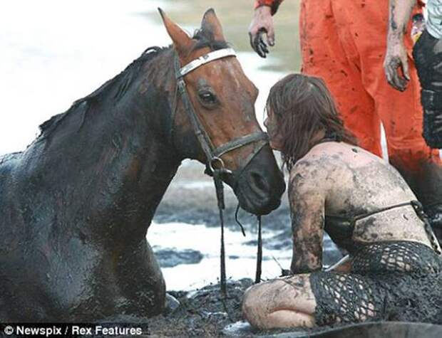 Эта невероятная женщина 3 часа не отходила от лошади, пытаясь спасти ее из смертельной ловушки