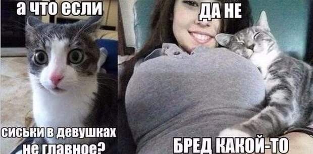 1467238272_21