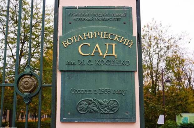 С 30 марта ботанический сад Краснодара закрывается: сообщение МЦУ