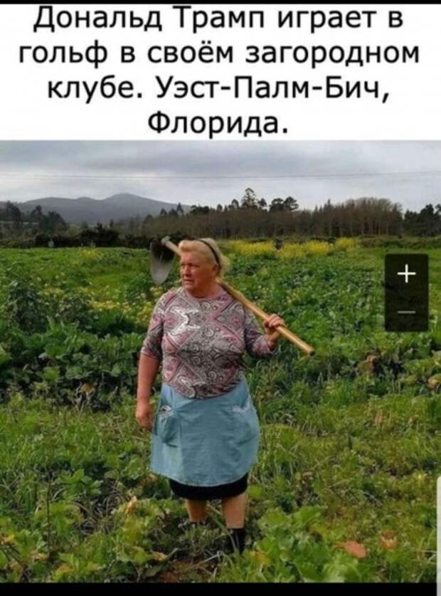 Новая подборка фото-приколов и картинок (31 шт)