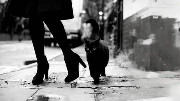 Я пойду с вами!