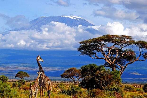 Полюбоваться снегами Килиманджаро